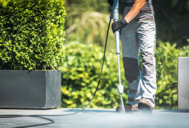 Best Building Exterior Washing  in Roessleville, NY