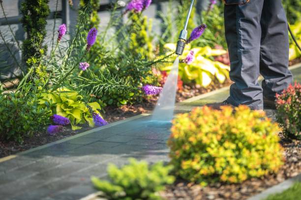 Best Restaurant Pressure Washing  in Roessleville, NY