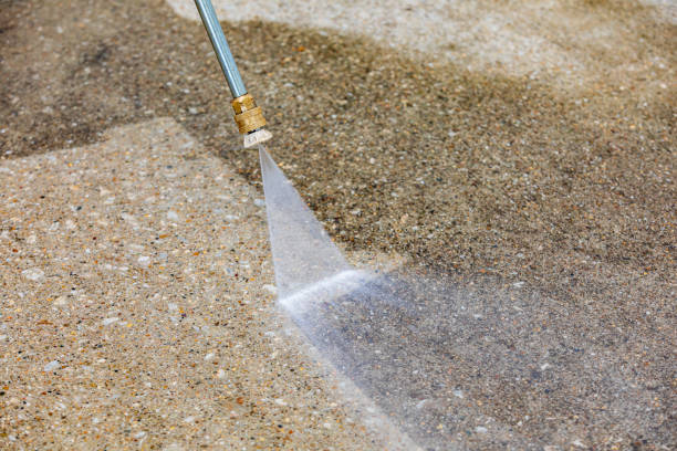 Best Boat and Dock Cleaning  in Roessleville, NY